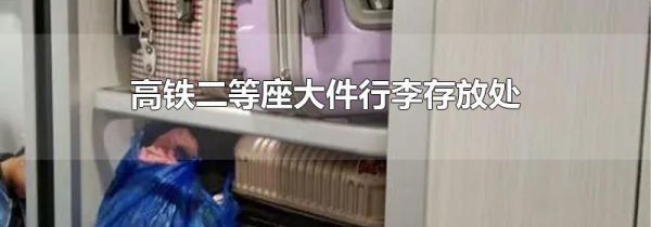 高铁二等座大件行李存放处