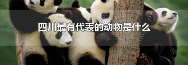 四川最有代表的动物是什么