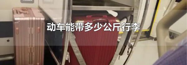 动车能带多少公斤行李