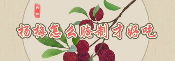 杨梅怎么腌制才好吃
