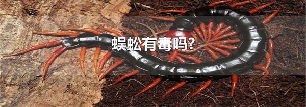 蜈蚣有毒吗?