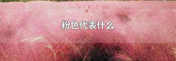 粉色代表什么