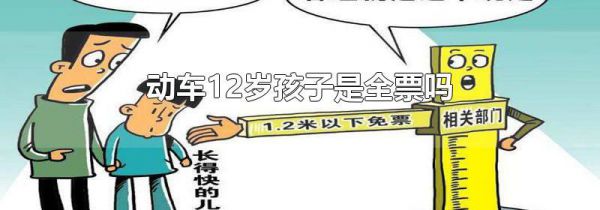 动车12岁孩子是全票吗