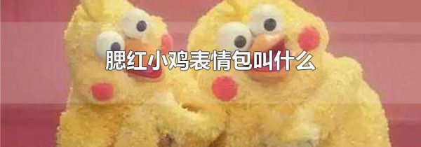 腮红小鸡表情包叫什么