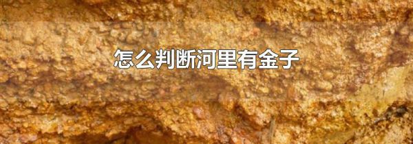 怎么判断河里有金子
