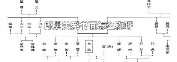 郎舅关系书面怎么称呼