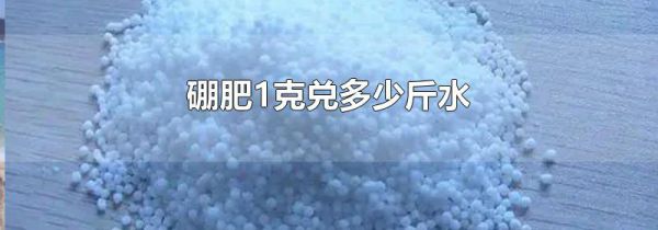 硼肥1克兑多少斤水