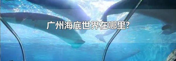 广州海底世界在哪里?