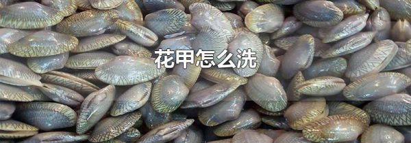 花甲怎么洗