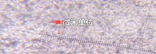 微米单位