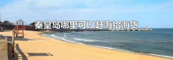 秦皇岛哪里可以赶海拾海货