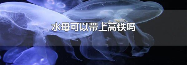 水母可以带上高铁吗