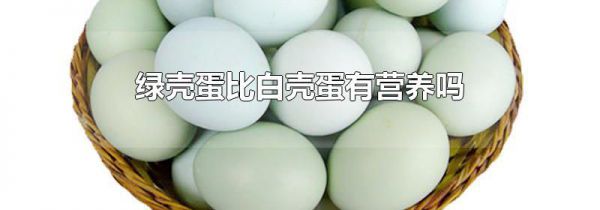 绿壳蛋比白壳蛋有营养吗