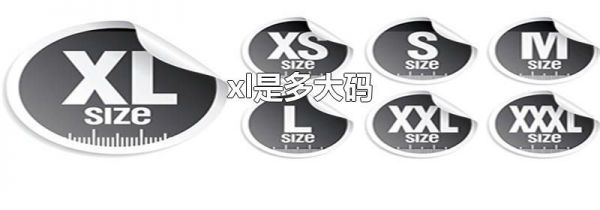 xl是多大码