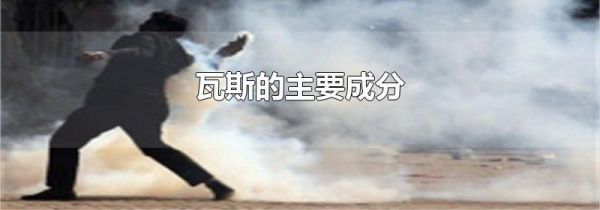 瓦斯的主要成分