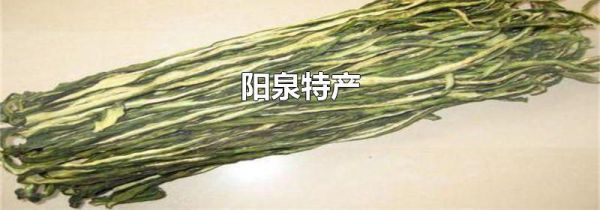 阳泉特产