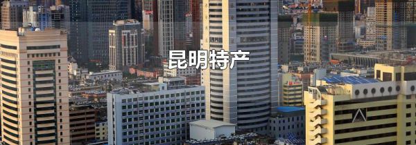昆明特产