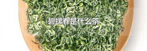碧螺春是什么茶