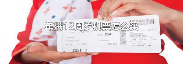 年满12周岁机票怎么买