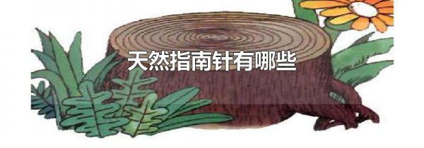 天然指南针有哪些