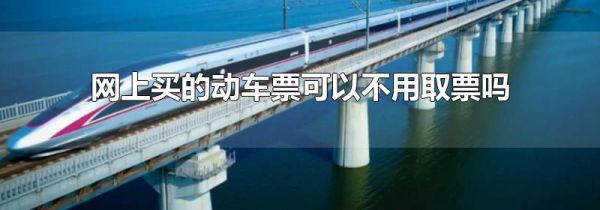 网上买的动车票可以不用取票吗
