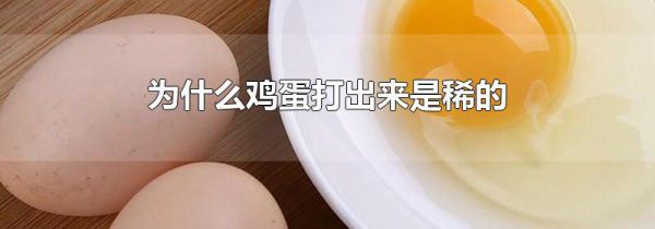 为什么鸡蛋打出来是稀的