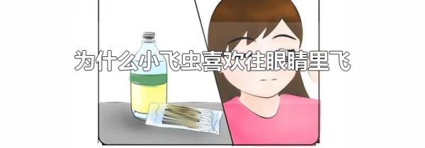 为什么小飞虫喜欢往眼睛里飞