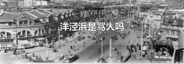 洋泾浜是骂人吗