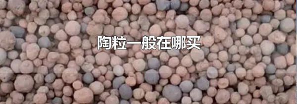 陶粒一般在哪买