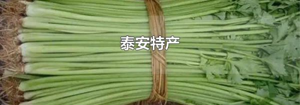 泰安特产