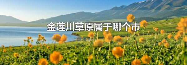 金莲川草原属于哪个市