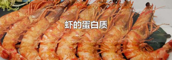 虾的蛋白质