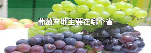 葡萄产地主要在哪个省
