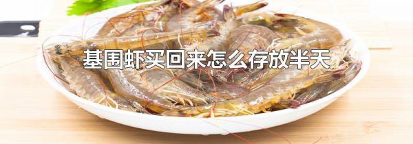 基围虾买回来怎么存放半天