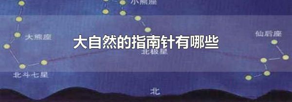 大自然的指南针有哪些