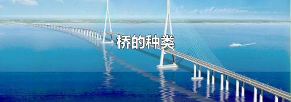 桥的种类