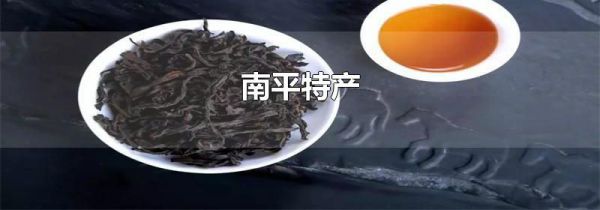南平特产
