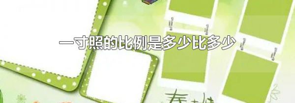 一寸照的比例是多少比多少