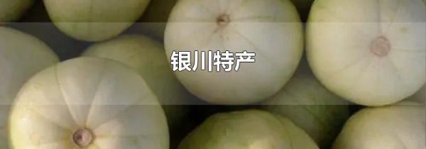 银川特产