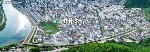 池州特产