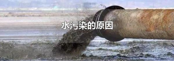 水污染的原因
