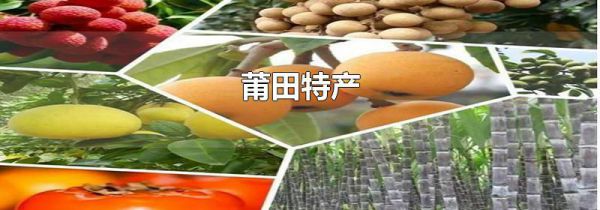 莆田特产