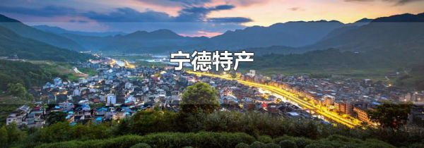 宁德特产