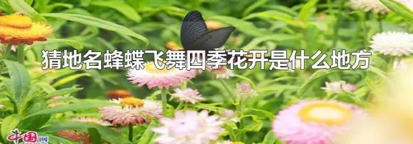 猜地名蜂蝶飞舞四季花开是什么地方