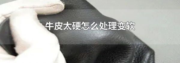 牛皮太硬怎么处理变软