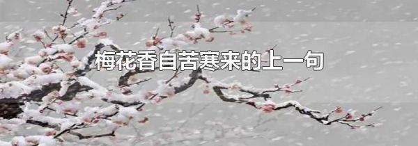 梅花香自苦寒来的上一句