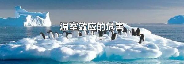 温室效应的危害