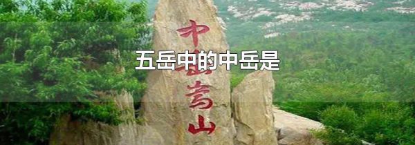 五岳中的中岳是