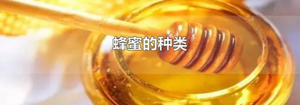 蜂蜜的种类