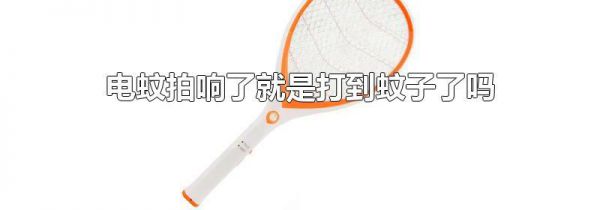 电蚊拍响了就是打到蚊子了吗